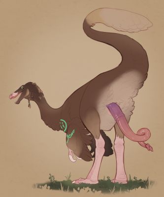 Gallimimus
art by oliver.lutro or paleopunk
Keywords: dinosaur;gallimimus;male;feral;solo;penis;oliver.lutro;paleopunk