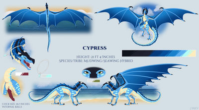 Cypress (Wings_of_Fire)
art by owl_light
Keywords: wings_of_fire;mudwing;seawing;hybrid;dragon;male;feral;solo;penis;closeup;reference;owl_light