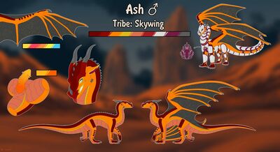 Ash Skywing (Wings_of_Fire)
art by owl_light
Keywords: wings_of_fire;skywing;dragon;male;feral;solo;penis;closeup;reference;owl_light