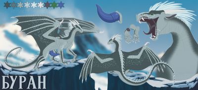 Buran Reference (Wings_of_Fire)
art by owl_light
Keywords: wings_of_fire;icewing;dragon;feral;solo;penis;closeup;reference;owl_light