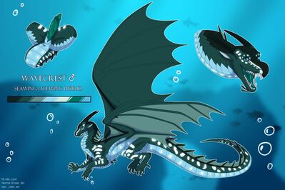 Wavecrest (Wings_of_Fire)
art by owl_light
Keywords: wings_of_fire;seawing;icewing;hybrid;dragon;male;feral;solo;penis;closeup;reference;owl_light