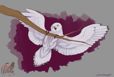 Owlt On A Limb
art by sefeiren
Keywords: avian;bird;owl;female;feral;solo;cloaca;spooge;sefeiren;frisky_ferals