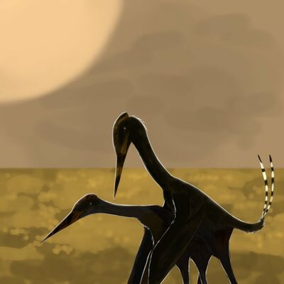 Azhdarchids Mating
art by paleoraptor
Keywords: dinosaur;pterodactyl;azhdarchids;male;female;feral;M/F;from_behind;suggestive;paleoraptor