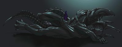 Xeno Solo 1
art by pcz
Keywords: alien;xenomorph;anthro;male;solo;penis;masturbation;spooge;pcz