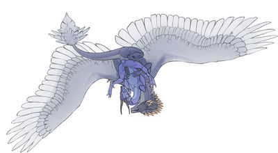 Dragons Mating in Flight
art by pheel
Keywords: dragon;feral;male;M/M;penis;anal;from_behind;pheel