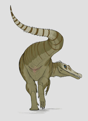 Baryonyx Presenting
art by phlegraofmystery
Keywords: dinosaur;theropod;baryonyx;female;feral;solo;presenting;cloaca;phlegraofmystery