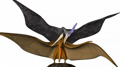 Pterodactyls Mating
unknown artist
Keywords: dinosaur;pterodactyl;male;female;feral;M/F;from_behind;cgi