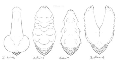 Tribal Penises 2 (Wings_of_Fire)
art by puppetmaster13uwu
Keywords: wings_of_fire;silkwing;leafwing;hivewing;beetlewing;dragon;male;feral;solo;penis;hemipenis;closeup;beach