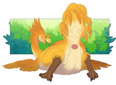 Chocobo Cloaca
art by qwertydragon
Keywords: videogame;final_fantasy;bird;avian;chocobo;male;anthro;solo;cloaca;presenting;qwertydragon