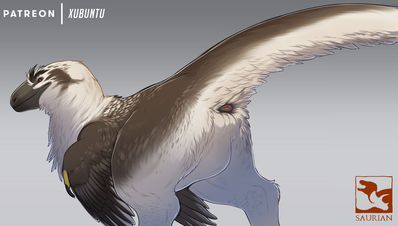 Female Dakotaraptor
art by qwertydragon
Keywords: videogame;saurian;dinosaur;thereopod;raptor;dakotaraptor;female;feral;solo;cloaca;qwertydragon