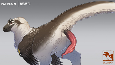 Male Dakotaraptor
art by qwertydragon
Keywords: videogame;saurian;dinosaur;thereopod;raptor;dakotaraptor;male;feral;solo;penis;qwertydragon