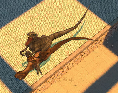 Raptor Sex 2
art by rage_viper
Keywords: dinosaur;theropod;raptor;deinonychus;male;female;feral;M/F;missionary;cgi;rage_viper