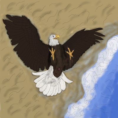 Ray Pin-up
art by uppmap123
Keywords: avian;bird;eagle;feral;male;solo;cloaca;beach;uppmap123