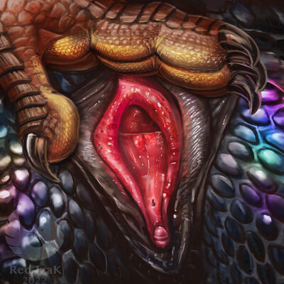 Spread Dragoness
art by red-izak
Keywords: dragon;dragoness;male;female;feral;M/F;vagina;spread;closeup;red-izak