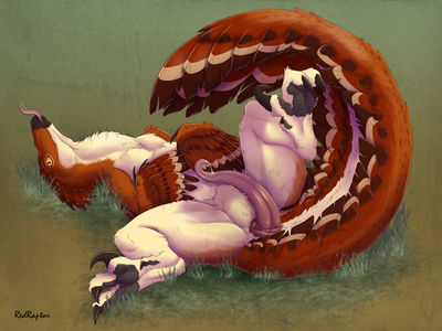 Fluffy Deinonychus
art by redraptor16
Keywords: dinosaur;theropod;raptor;deinonychus;male;feral;solo;penis;spooge;redraptor16