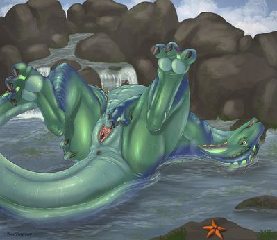Aquatic Dragon
art by redraptor16
Keywords: dragoness;female;feral;solo;vagina;spread;redraptor16