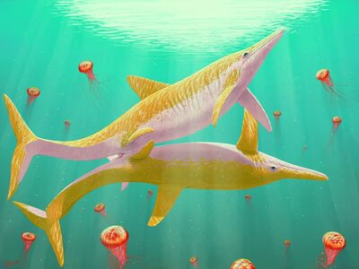 Mating Temnodontosaurus
art by reiimon
Keywords: dinosaur;temnodontosaurus;male;female;feral;M/F;penis;missionary;cloacal_penetration;reiimon