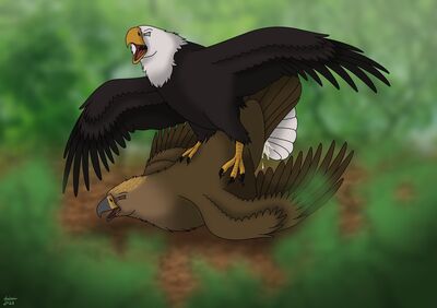 Eagles Humping
art by reinderworld
Keywords: avian;bird;eagle;male;feral;M/M;from_behind;suggestive;orgasm;spooge;reinderworld