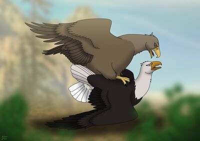 Eagles Mating
art by reinderworld
Keywords: avian;bird;eagle;male;female;feral;M/F;from_behind;suggestive;orgasm;ejaculation;spooge;reinderworld