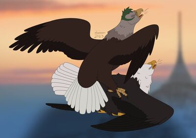 Eagle Sex
art by reinderworld
Keywords: avian;bird;eagle;male;feral;M/M;from_behind;suggestive;reinderworld