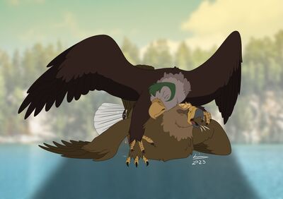 Eagle Sex 2
art by reinderworld
Keywords: avian;bird;eagle;male;feral;M/M;from_behind;suggestive;orgasm;spooge;reinderworld