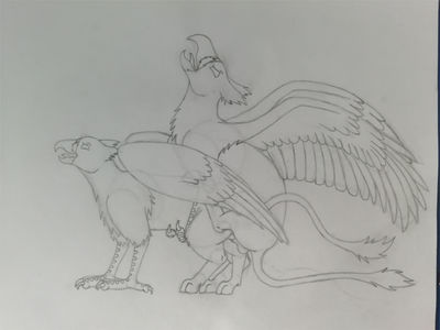 Gryphons Mating (sketch)
art by reinderworld
Keywords: gryphon;male;female;feral;M/F;penis;from_behind;vaginal_penetration;reinderworld