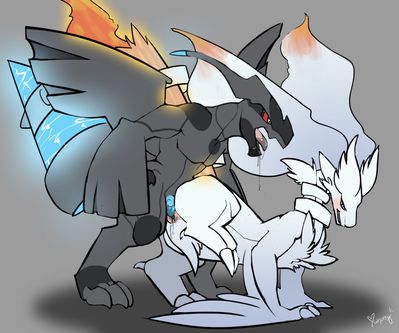 Zekrom Mounts Reshiram
art by whimsydreams
Keywords: anime;pokemon;dragon;dragoness;zekrom;reshiram;male;female;anthro;M/F;penis;from_behind;vaginal_penetration;spooge;whimsydreams