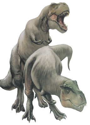 Rex Mating
unknown artist
Keywords: dinosaur;theropod;tyrannosaurus_rex;trex;male;female;feral;M/F;from_behind