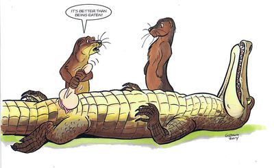 Crocodile Rock
art by rgibson
Keywords: crocodilian;crocodile;furry;mustelid;otter;male;anthro;solo;penis;masturbation;humor;rgibson