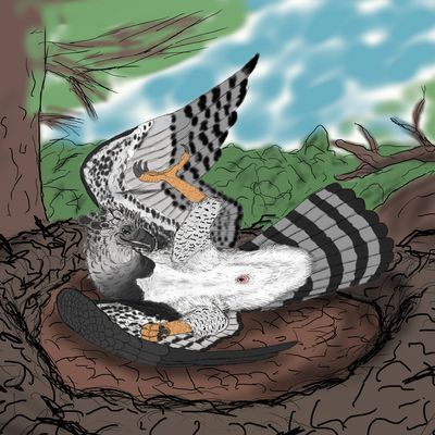 Ritchie Pin-up
art by uppmap123
Keywords: avian;bird;hawk;feral;male;solo;cloaca;uppmap123