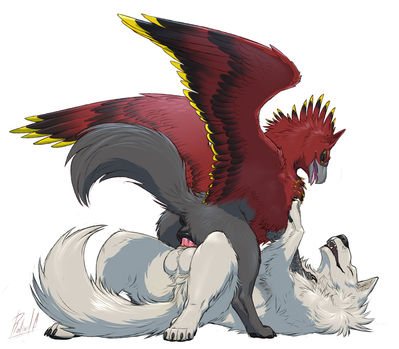 Gryphon Rides A Wolf
art by rollwulf
Keywords: gryphon;furry;canine;wolf;male;female;feral;M/F;penis;cowgirl;vaginal_penetration;rollwulf