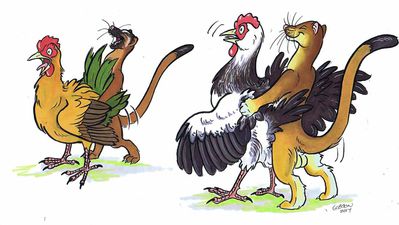 Weasels And Chickens
art by roz_gibson
Keywords: avian;bird;chicken;furrylmustelid;weasel;feral;male;female;M/F;from_behind;roz_gibson