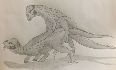 Pounding Pachycephalosaurus
art by runadragonproductions
Keywords: dinosaur;pachycephalosaurus;male;feral;M/M;penis;from_behind;anal;spooge;runadragonproductions