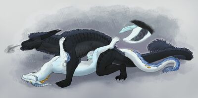 Missionary Drakes
art by saoren_foedo
Keywords: dragon;male;feral;M/M;penis;missionary;anal;internal;saoren_foedo