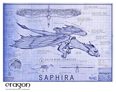 Saphira Blueprint
unknown artist
Keywords: eragon;saphira;dragoness;feral;female;solo;reference;non-adult