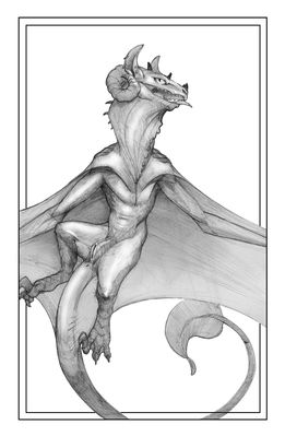 Male Wyvern
art by sephive
Keywords: dragon;wyvern;male;feral;solo;sheath;sephive