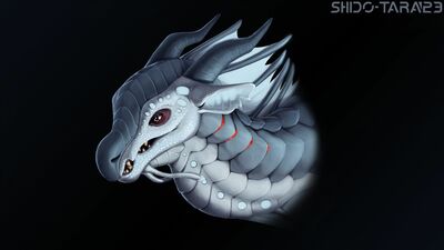 Albatross (Wings_of_Fire)
art by shido-tara
Keywords: wings_of_fire;seawing;albatross;dragon;male;feral;solo;non-adult;shido-tara