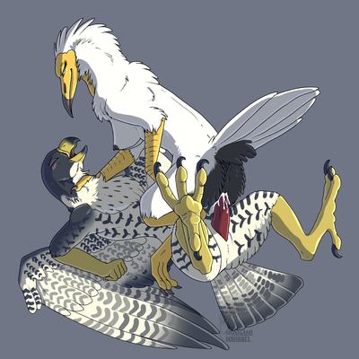 Falcon and Vulture
art by shinigamisquirrel
Keywords: bird;avian;falcon;vulture;male;female;anthro;breasts;M/F;penis;cowgirl;vaginal_penetration;spooge;shinigamisquirrel