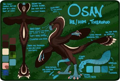 Oviraptor Reference
art by shinkei-shinto
Keywords: dinosaur;theropod;oviraptor;male;feral;solo;penis;closeup;reference;shinkei-shinto