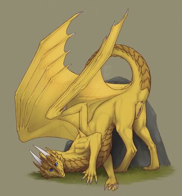 Golden Dragoness
art by skoren
Keywords: dragoness;female;feral;solo;vagina;presenting;skoren