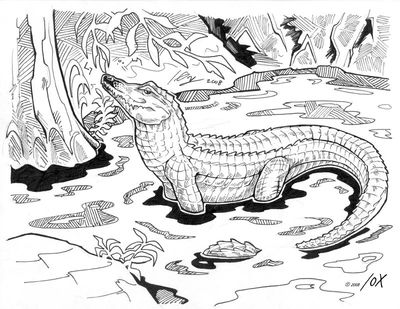 Alligator
art by slash0x
Keywords: crocodilian;alligator;feral;solo;non-adult;slash0x
