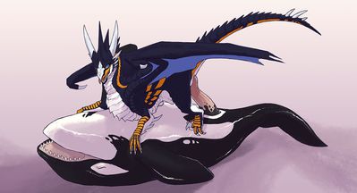 DNK and Orca
art by slash0x
Keywords: dragoness;furry;cetacean;orca;male;female;feral;M/F;penis;cowgirl;suggestive;slash0x