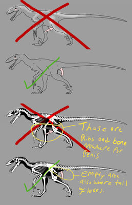 Raptor Penis Reference
art by spikeheila
Keywords: dinosaur;theropod;raptor;male;feral;solo;penis;reference;spikeheila