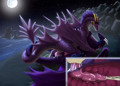 Moonlight Delight (internal)
art by stardragon102
Keywords: dragon;male;feral;M/M;penis;missionary;anal;internal;ejaculation;spooge;beach;stardragon102