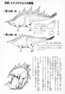 Stegosaurus Sex
unknown artist
Keywords: dinosaur;stegosaurus;male;female;feral;M/F;from_behind