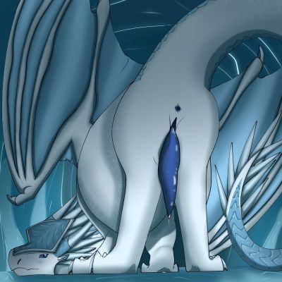 Icewing Presenting (Wings_of_Fire)
art by stormtheartist
Keywords: wings_of_fire;icewing;dragon;male;feral;solo;penis;presenting;stormtheartist