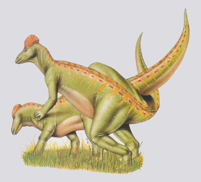 Corythosaurus Mating
art by studio_stalia
Keywords: dinosaur;hadrosaur;corythosaurus;male;female;feral;M/F;from_behind;suggestive;studio_stalia