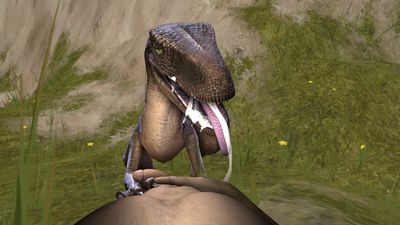 Raptor Fun 2
art by sumeriandragon
Keywords: beast;dinosaur;theropod;raptor;feral;female;human;man;male;M/F;penis;oral;spooge;sumeriandragon