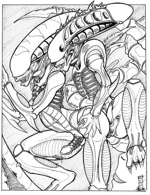 Xeno Bonding
art by syrinoth
Keywords: alien;xenomorph;anthro;male;M/M;penis;from_behind;anal;syrinoth