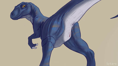 Velociraptor Presenting
art by sytaro
Keywords: dinosaur;theropod;raptor;velociraptor;female;feral;solo;vagina;presenting;sytaro